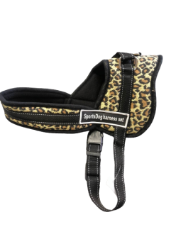 Postroj polstrovaný S 58-66cm obvod AKCE